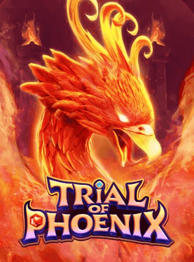 xc666 new game